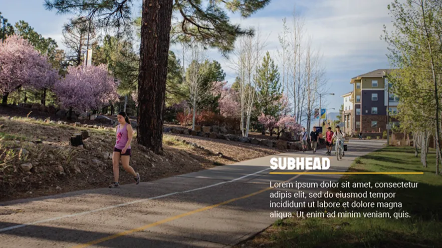 People walking and biking on a tree-lined paved path with cherry blossoms and buildings nearby.
