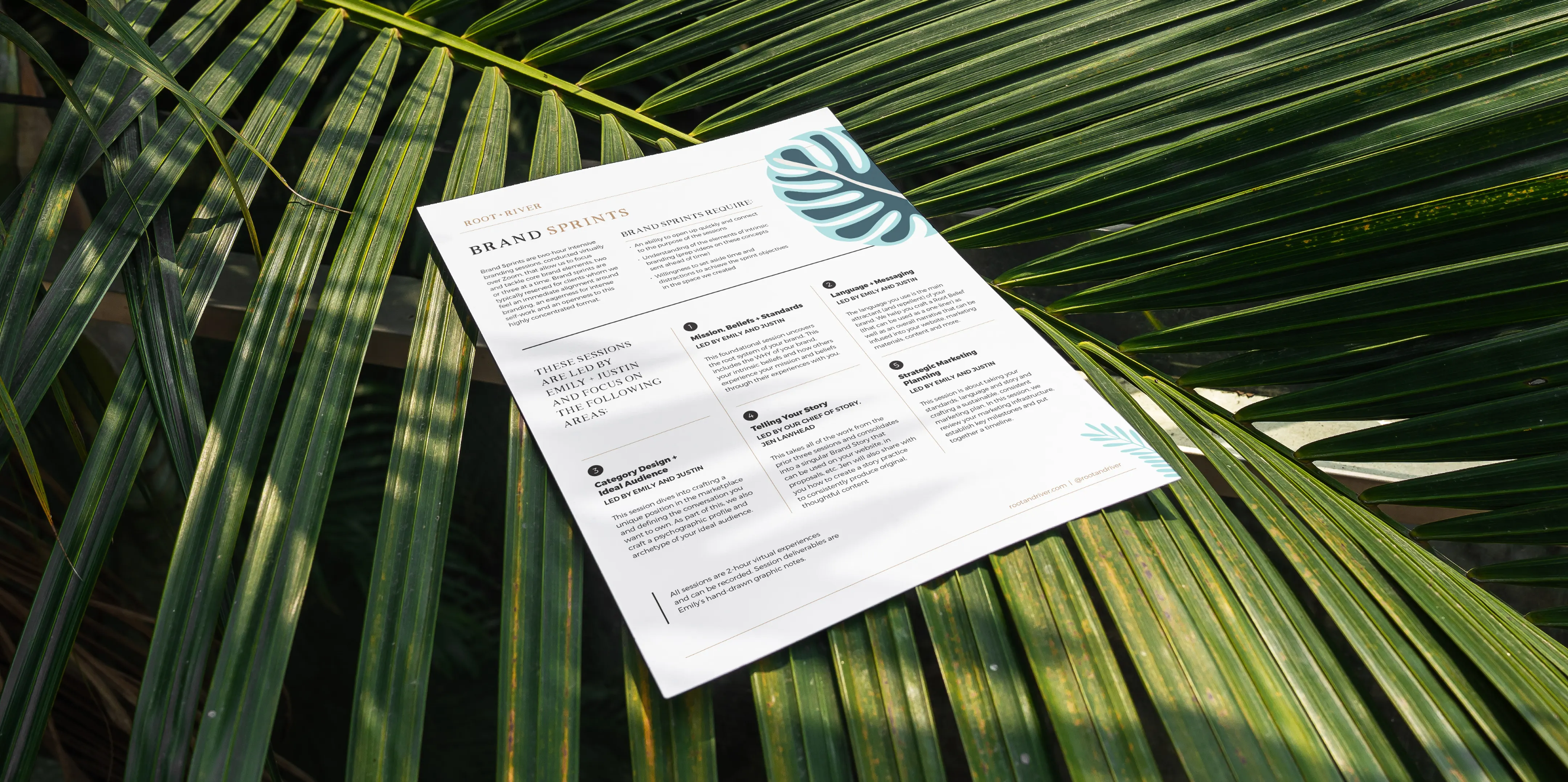 A printed Root + River document resting on palm fronds in dappled sunlight.