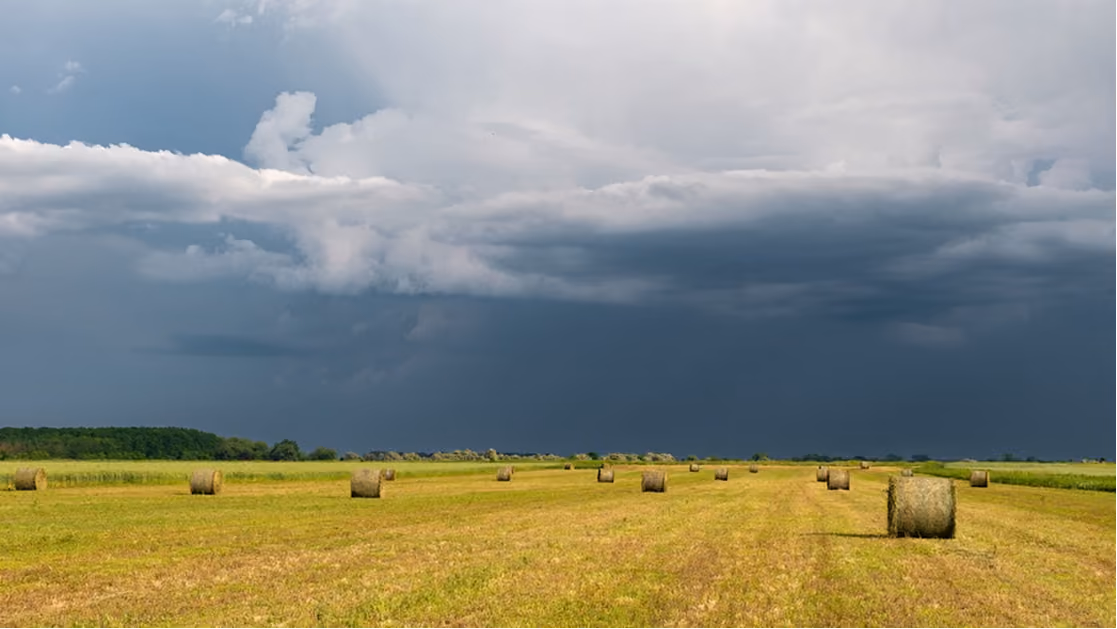 Field with round hay bales under a dramatic cloudy sky before a storm.