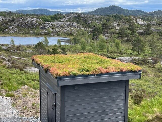 Moderne torvtak og sedumtak på en frittstående bod.