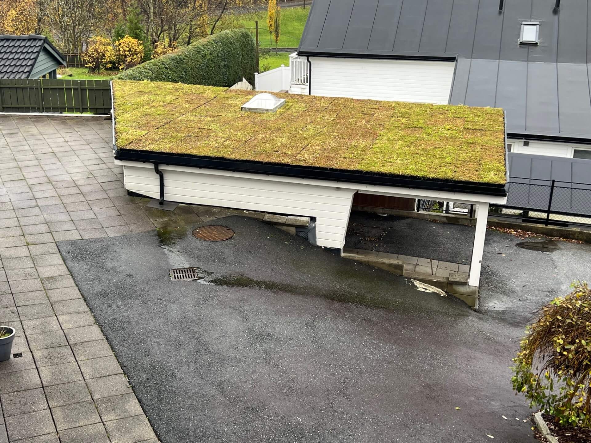 Moderne torvtak og sedumtak på en frittstående bod.