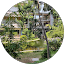 Small wooden bridge over water with green plants and trees in a Japanese-style garden.