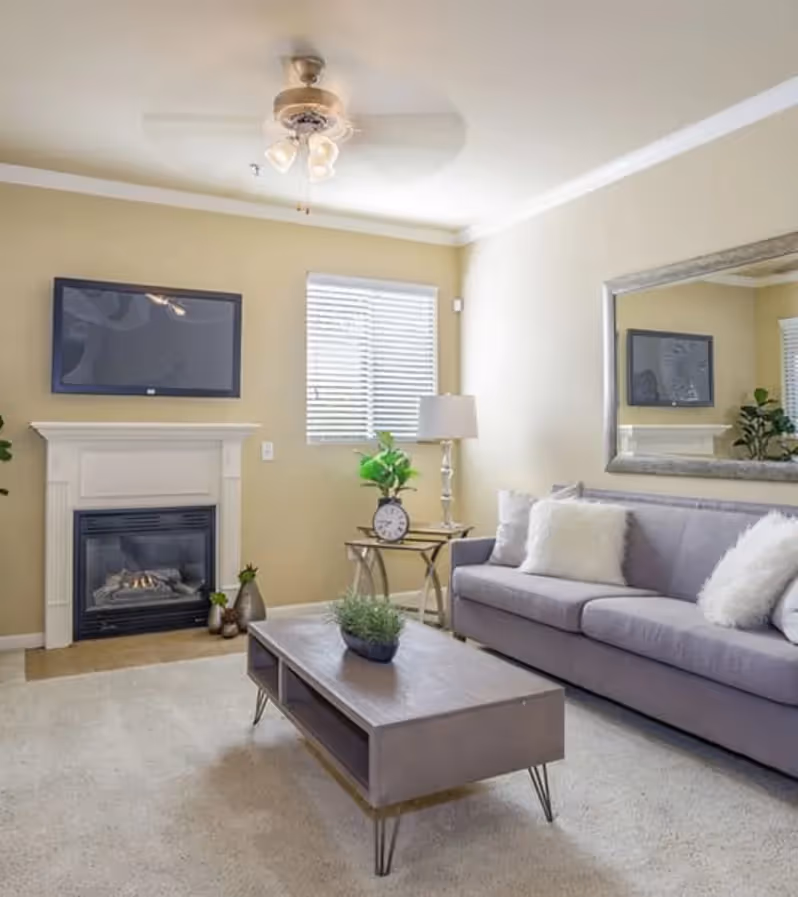 Furnished living room