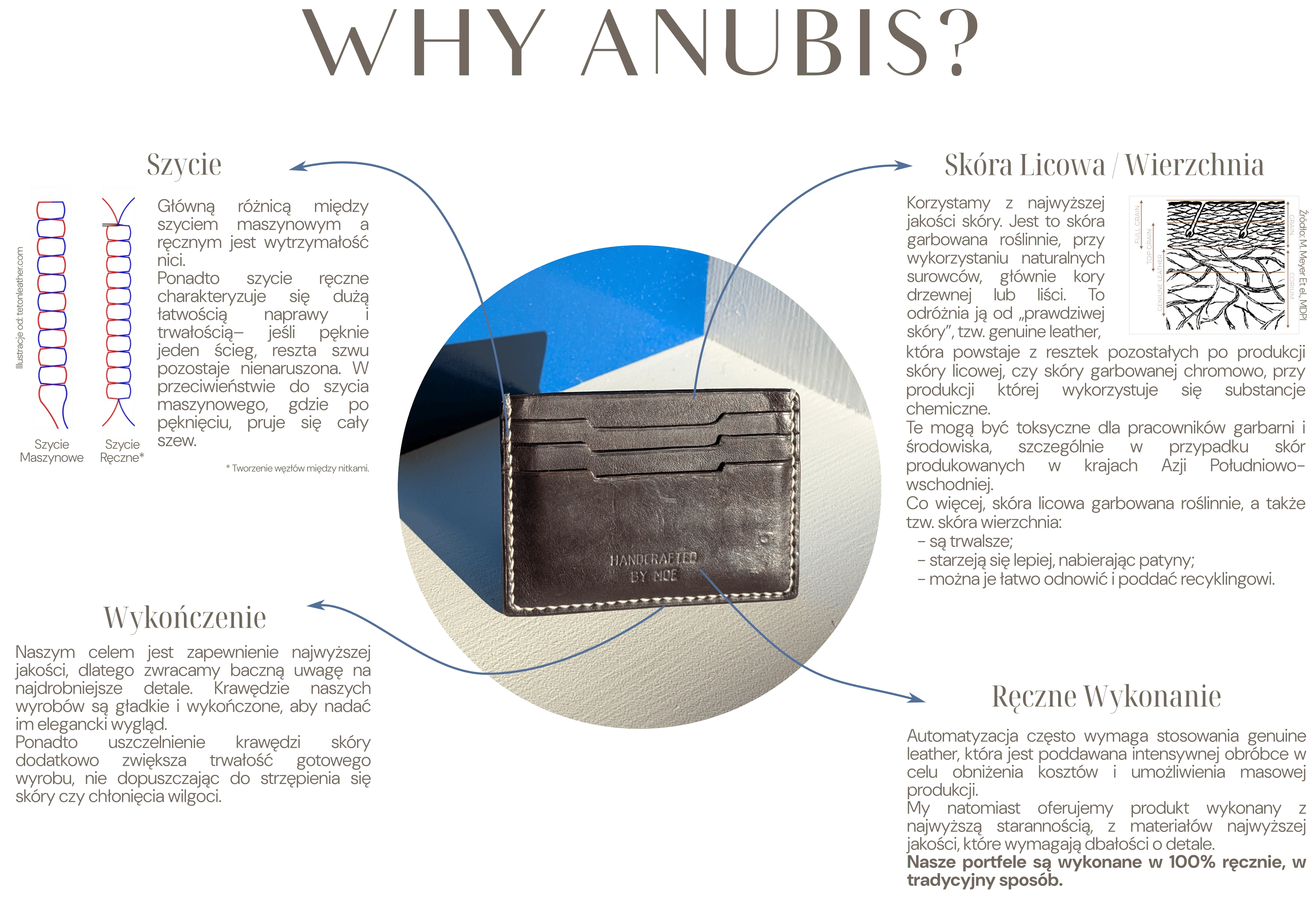 WHY ANUBIS IMAGE