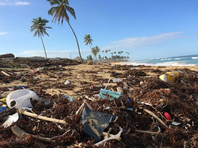 environmental charity