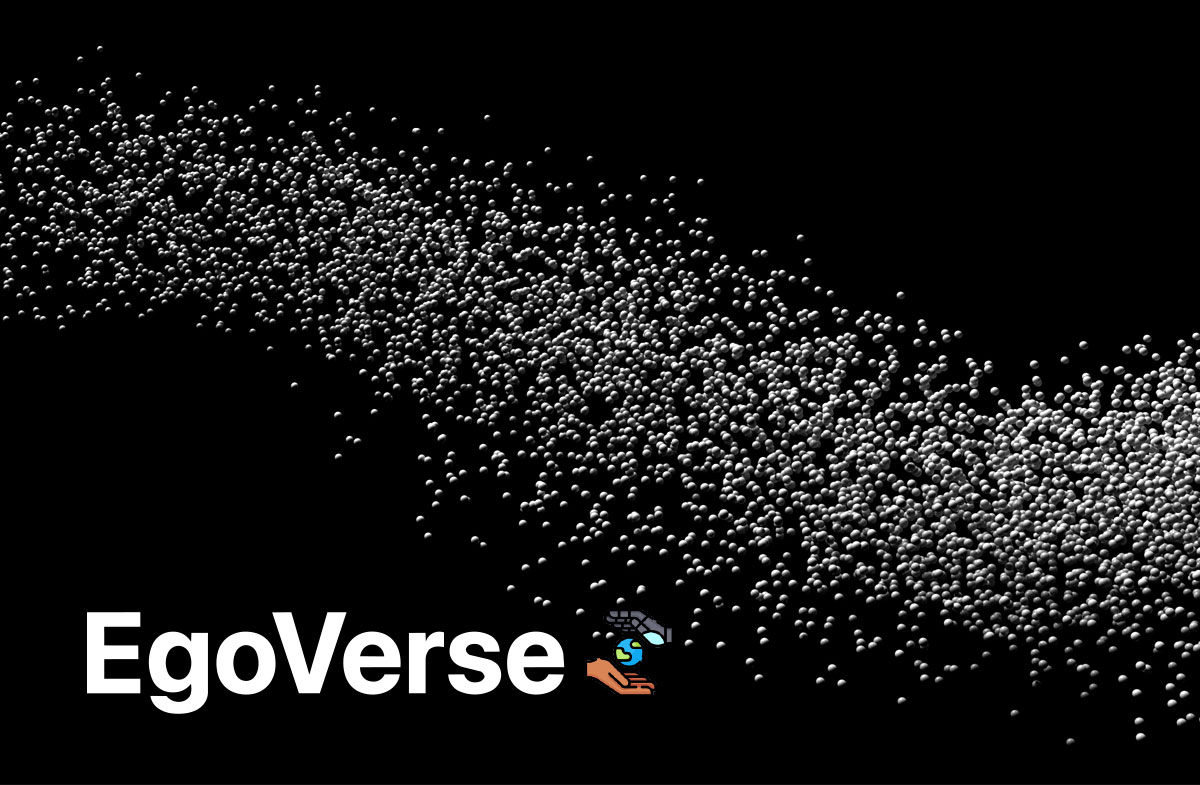 Image representing EgoVerse