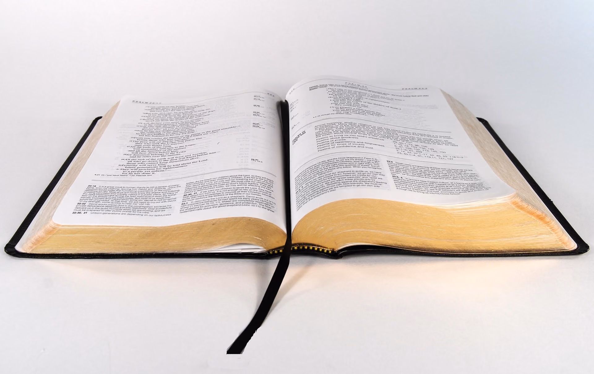 Open Bible representing wisdom, truth, and first-source guidance.