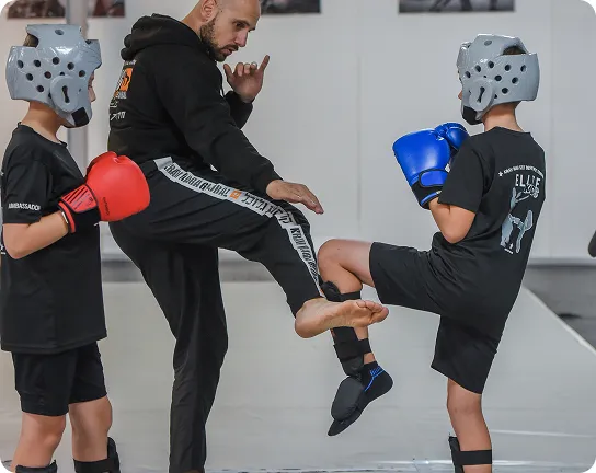 training_image