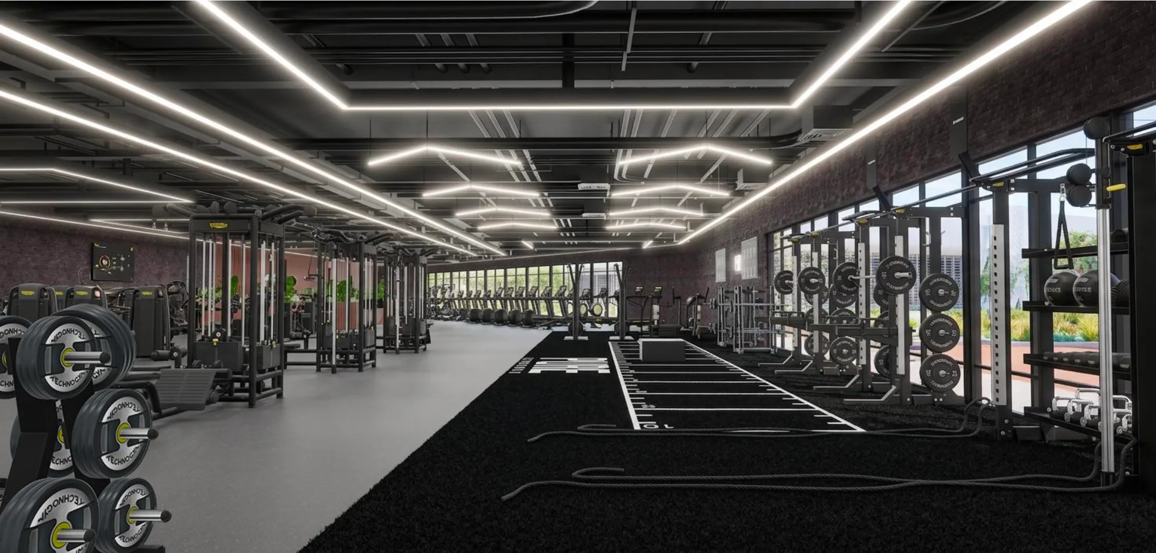 Members training in a functional fitness space