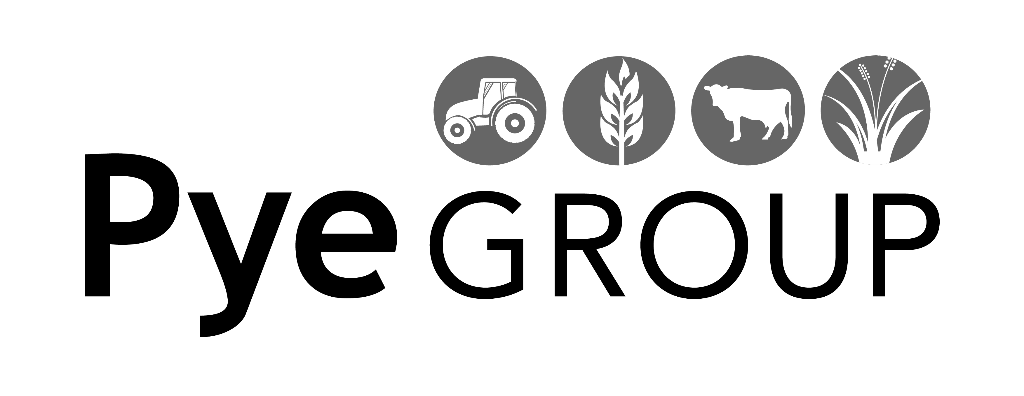 AriseHealth logo