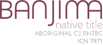 Better governance and  transparency for stronger  community outcomes