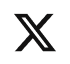 X icon