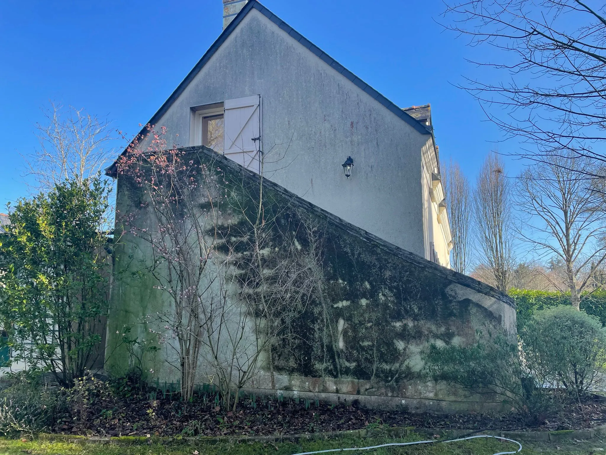 Façade d'une maison avec un mur extérieur sale et des arbustes en avant.