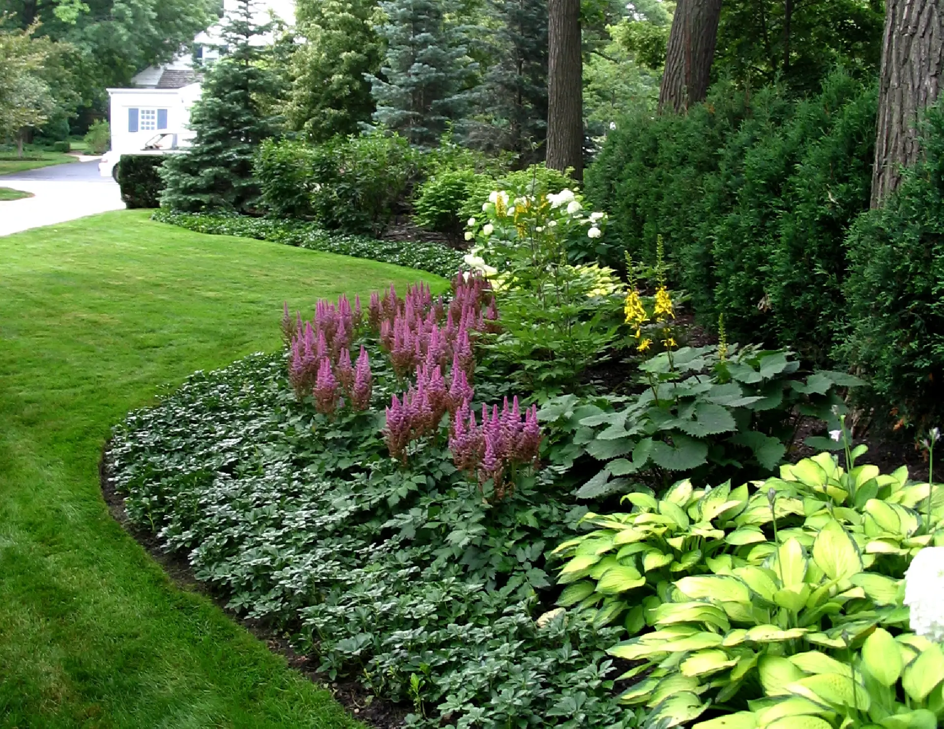 Flower beds