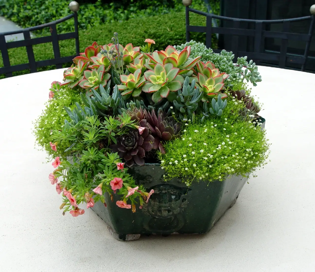 Mixed color flowers and herbs in metal container
