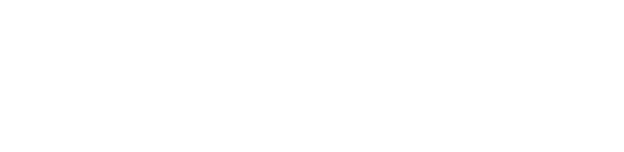 OBG Access logo