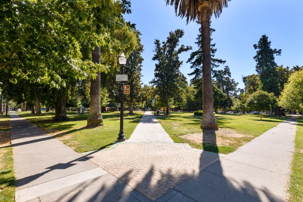 Walking path through park