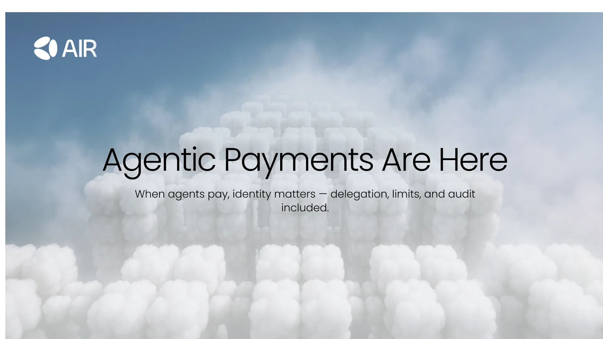 Agentic payments and the agent economy