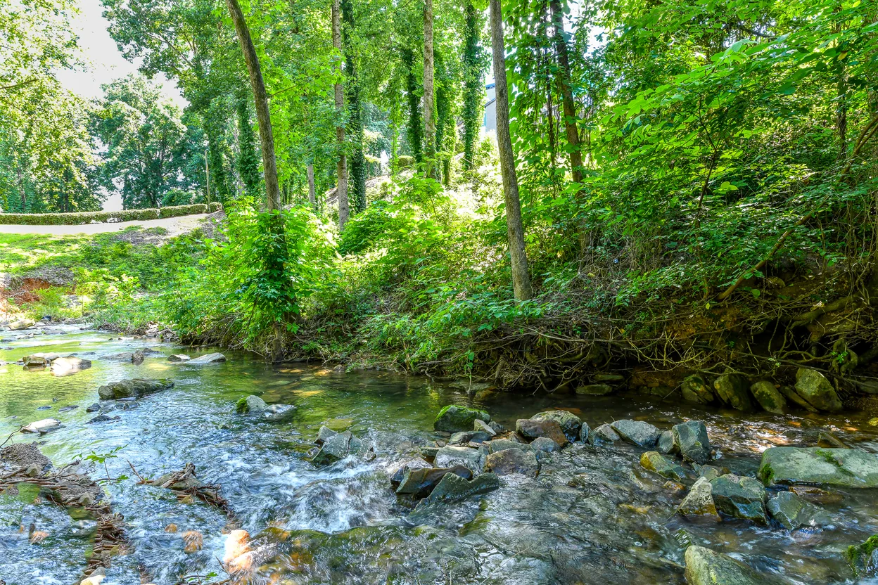 Wooded creek trail at Berry Falls in Vestavia Hills, AL