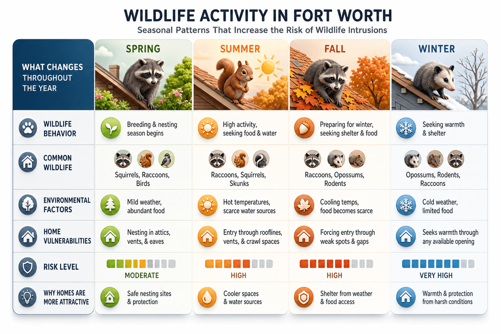 Why Fort Worth Homes Attract Wildlife