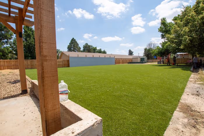 Modern house with a stone and brick facade, a curved concrete walkway, and a well-maintained green lawn with leafless trees in the background under a clear blue sky.