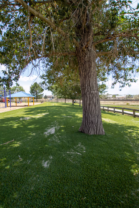 Parks and Playground Installation 10