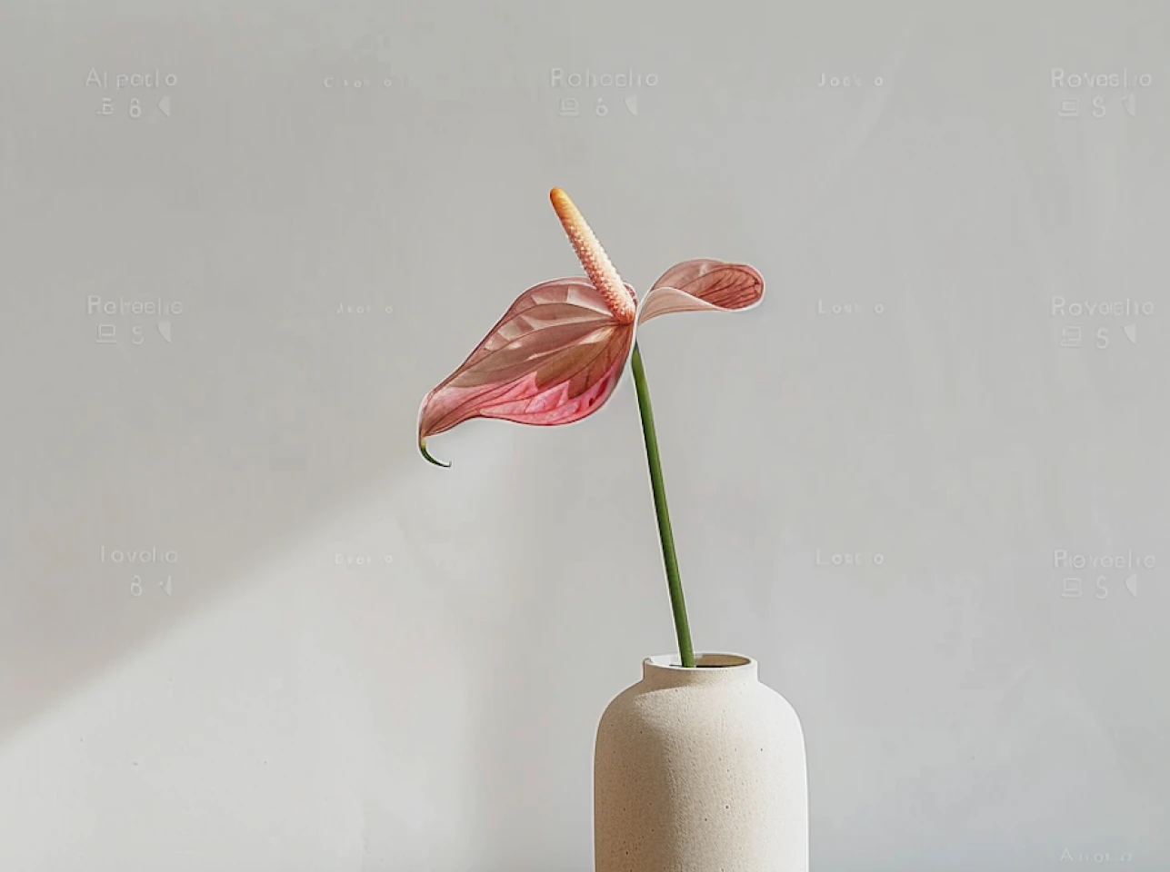 Blog Img