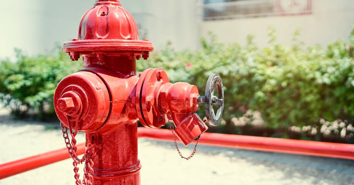 A red fire hydrant sitting outdoors next to some green bushes. The hydrant features a black knob and red piping around it.