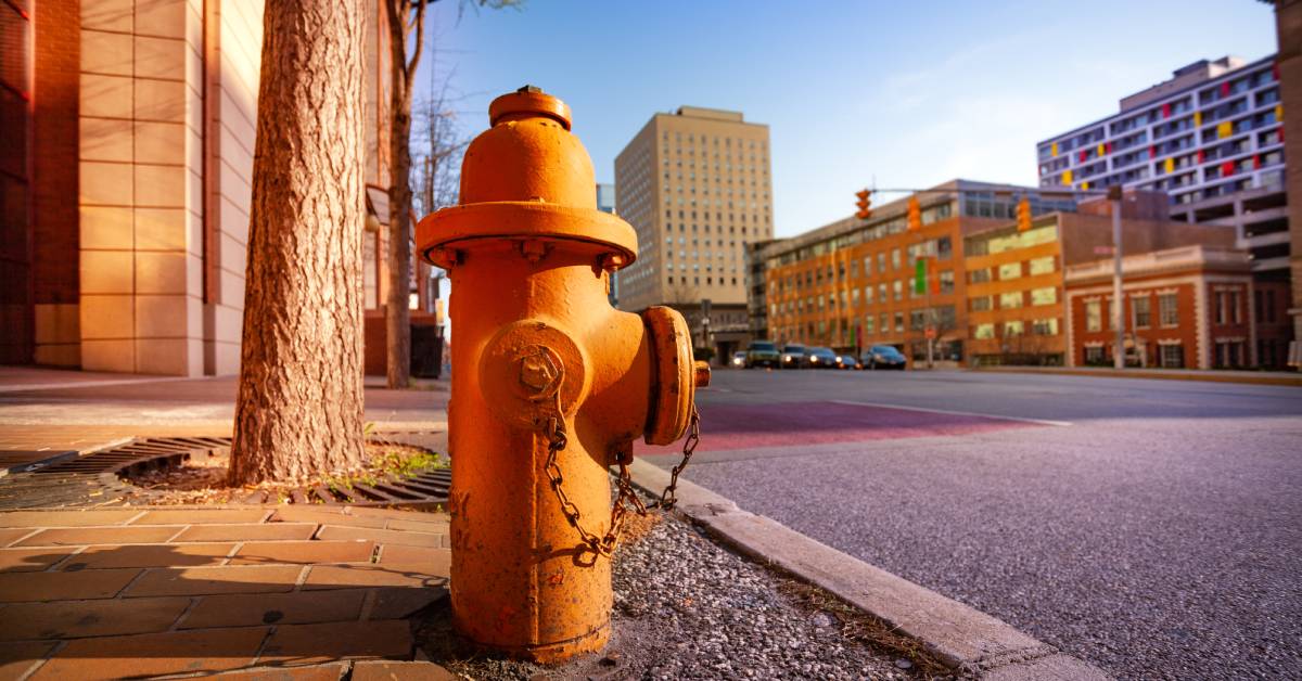 An orange fire hydrant sitting next to a brick sidewalk. A building and several trees are in the background.