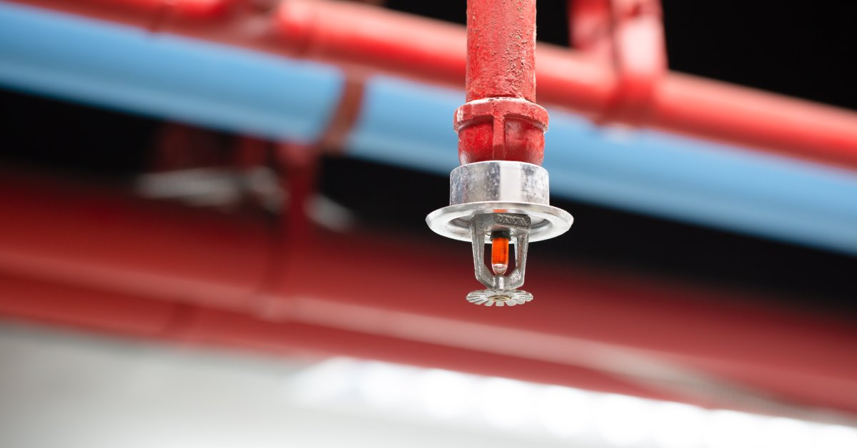 A fire sprinkler hanging from the ceiling with red and blue pipes in the background. 