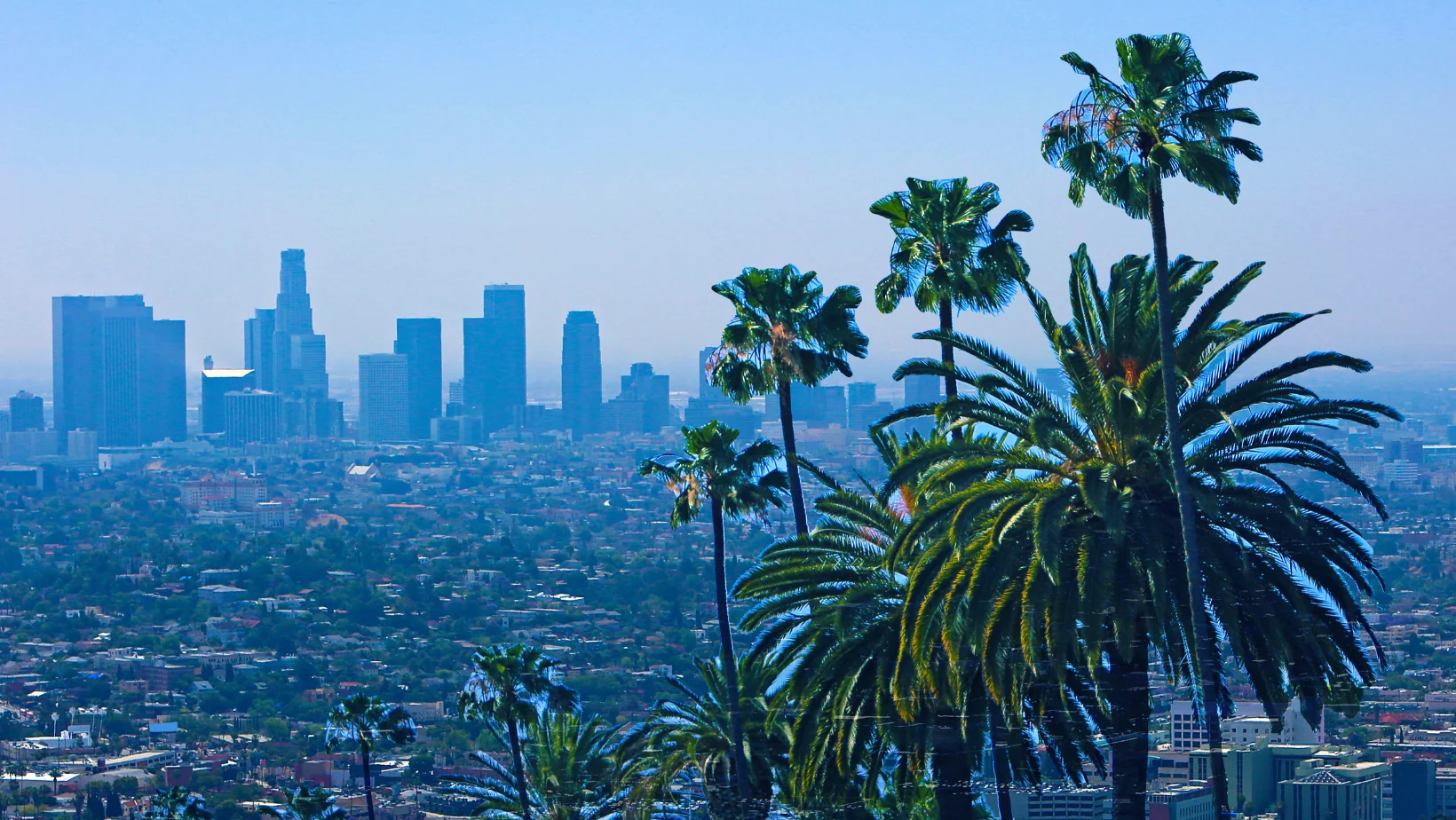 Do Commercial Properties Need Defensible Space in California? What Business Owners Need to Know 