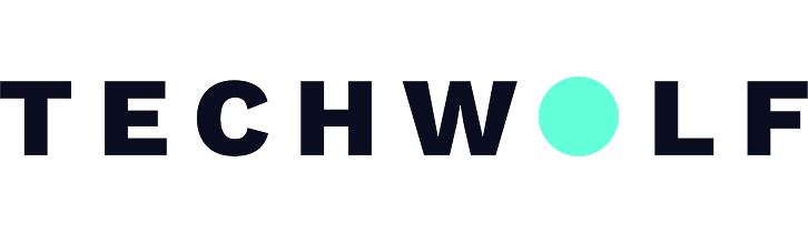 Techwolf logo with the letter O represented by a cyan circle.
