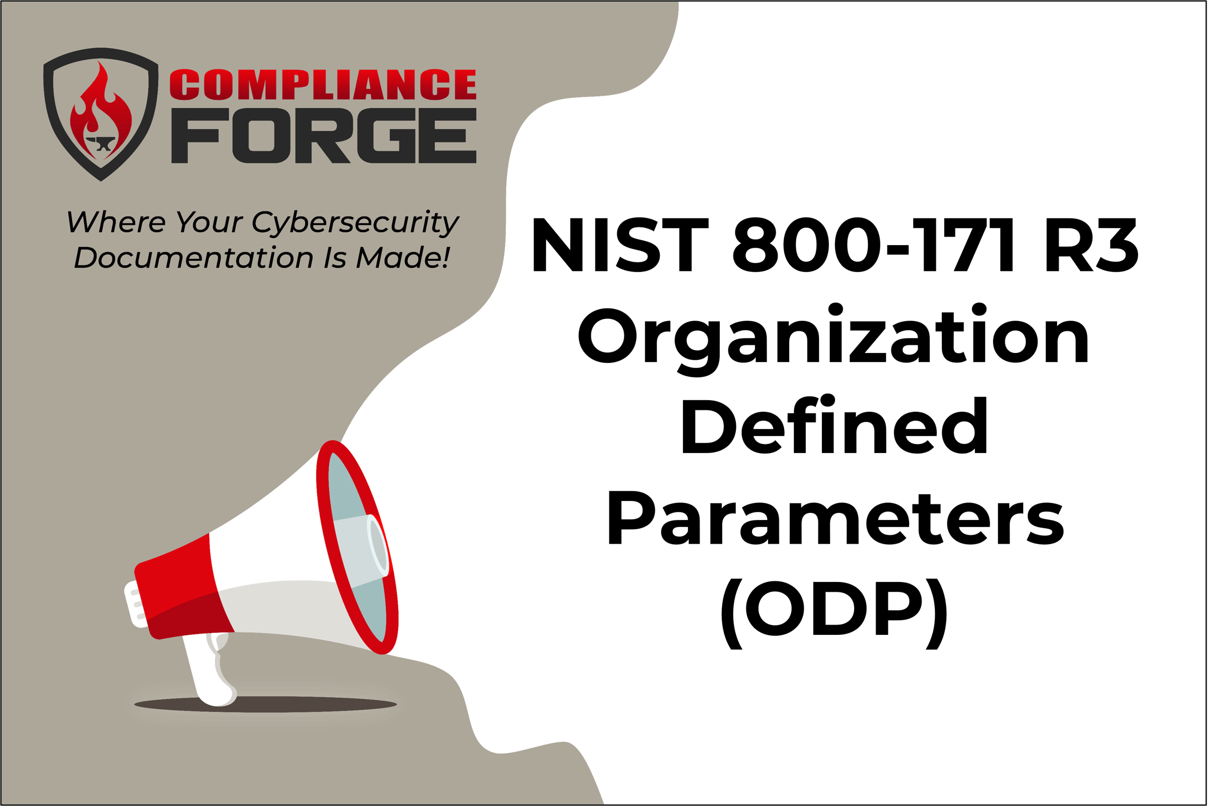 NIST 800-171 R3 ODPs