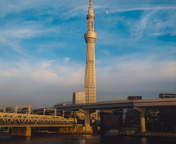 License Image