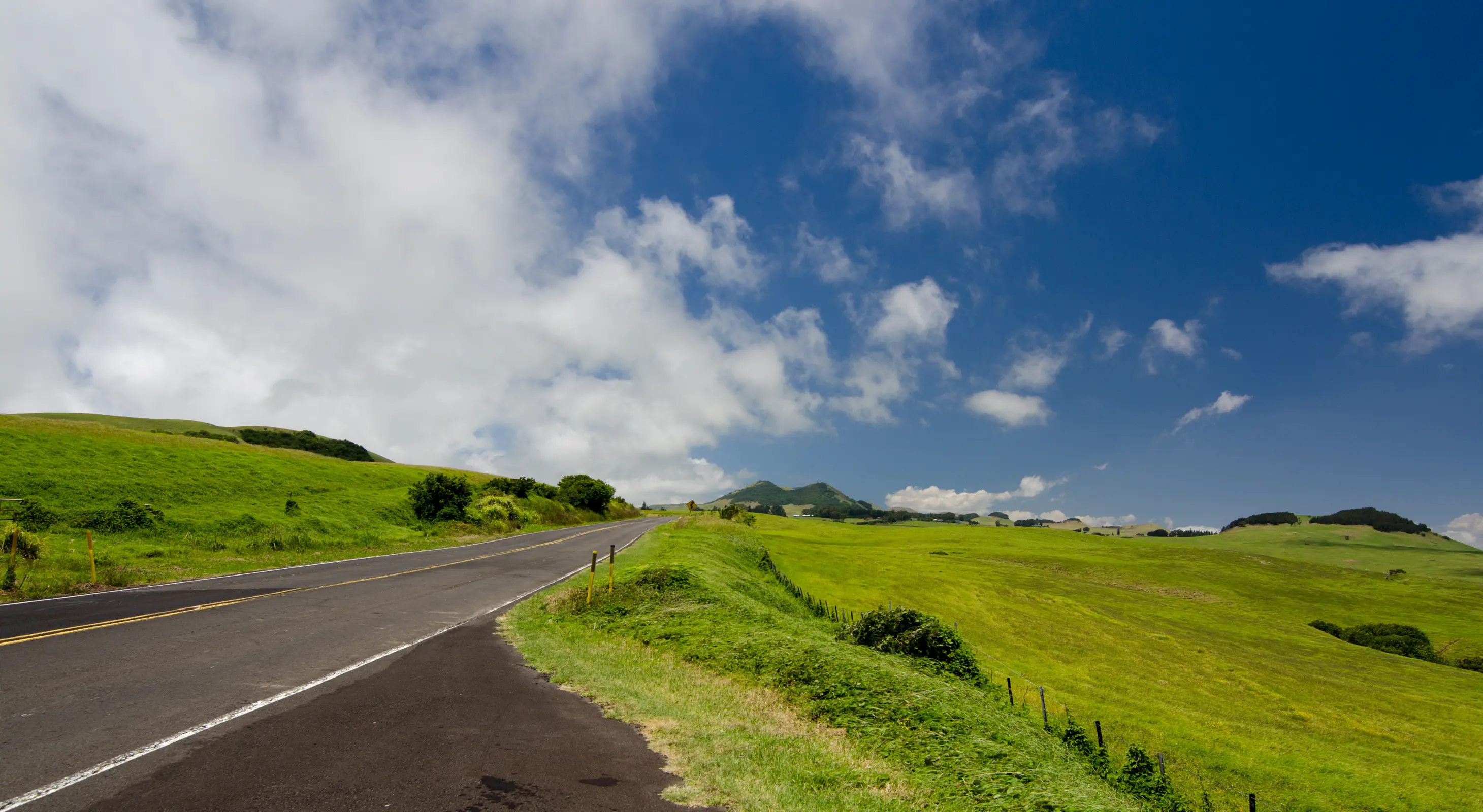 Kohala mountain road