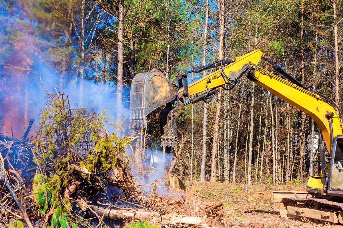 Land clearing & clean up