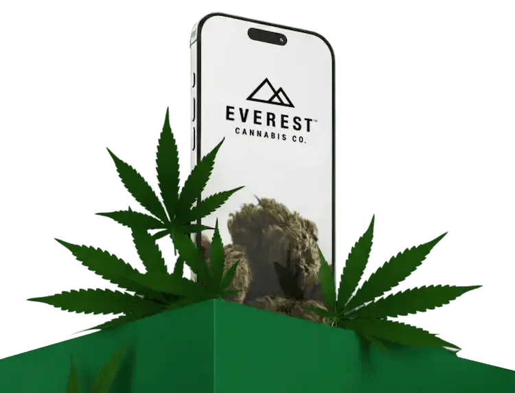 Everest Loyalty App - Earn rewards on every purchase