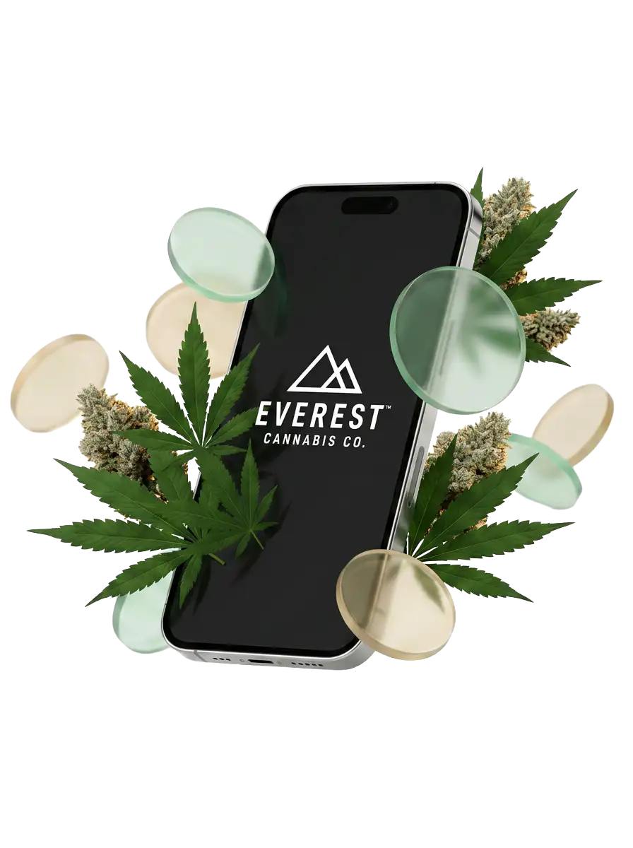 The Everest Cannabis Co. rewards app on a phone, surrounded by cannabis leaves, flower and reward coins