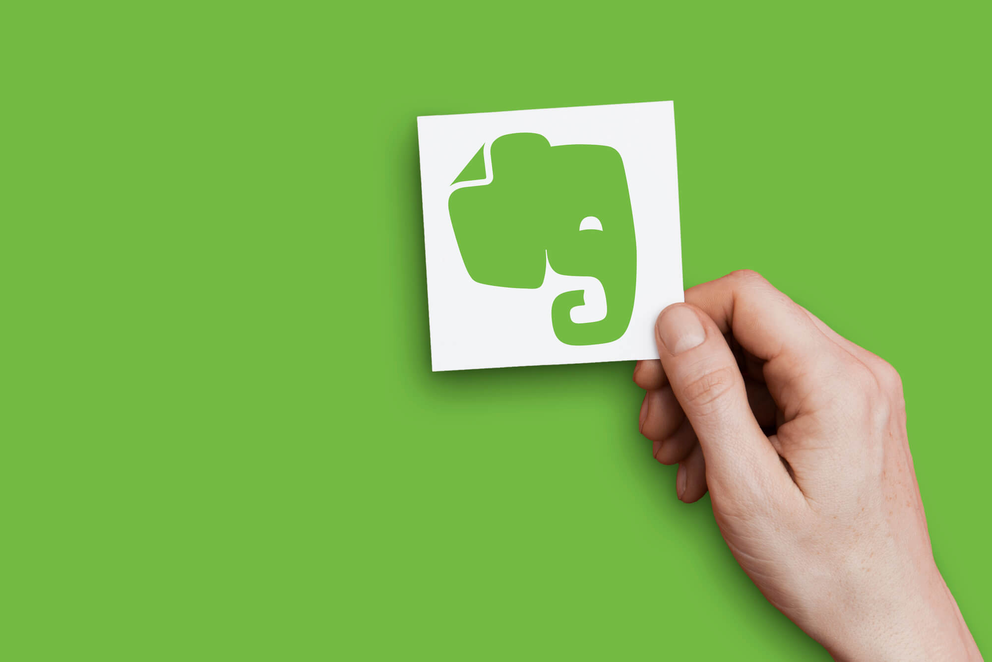 Evernote logo