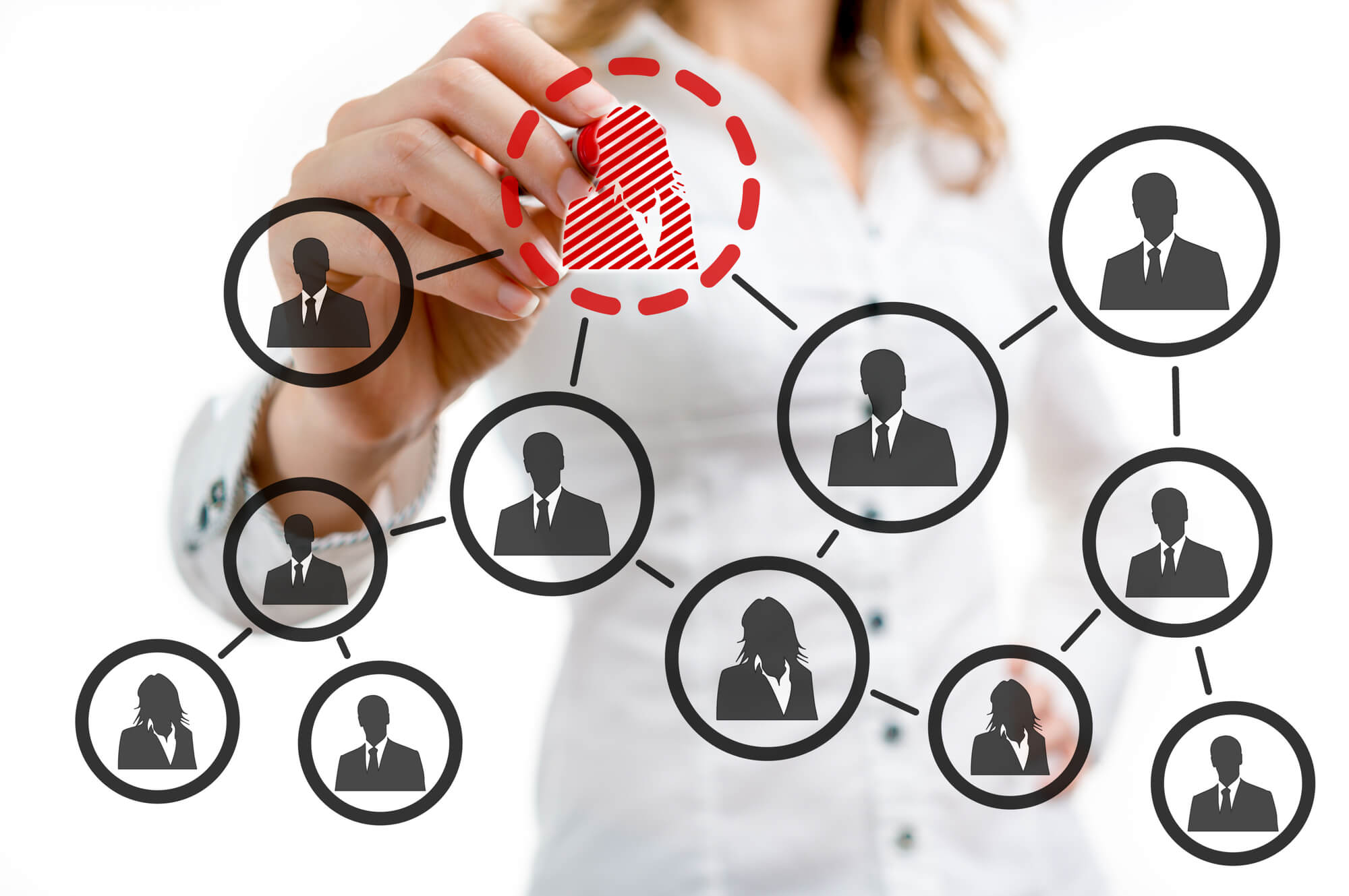 organizational structure