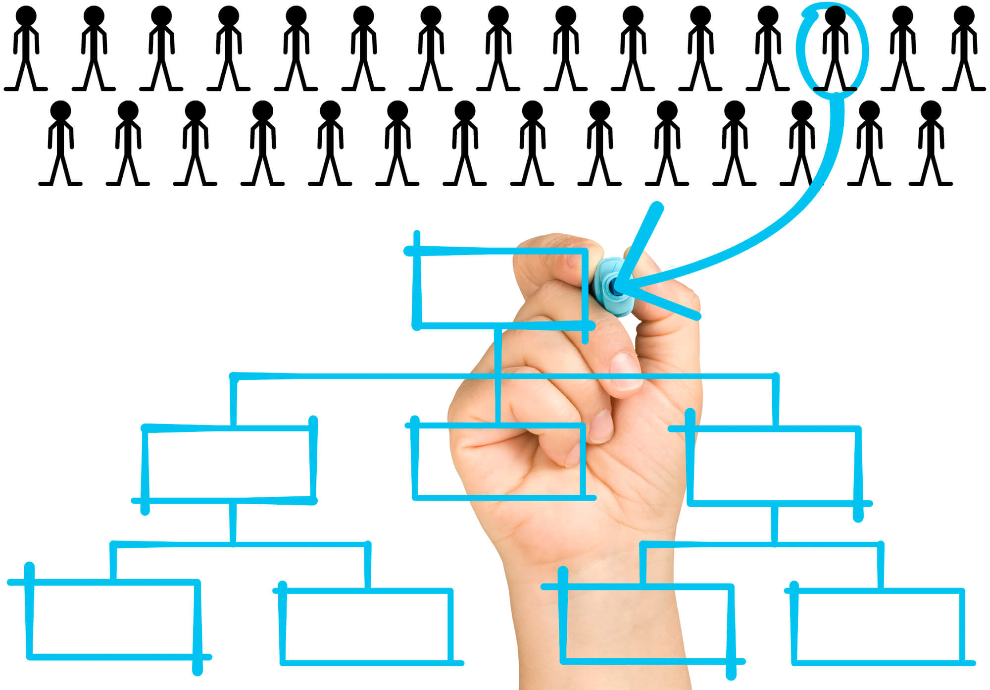 structuring company organization
