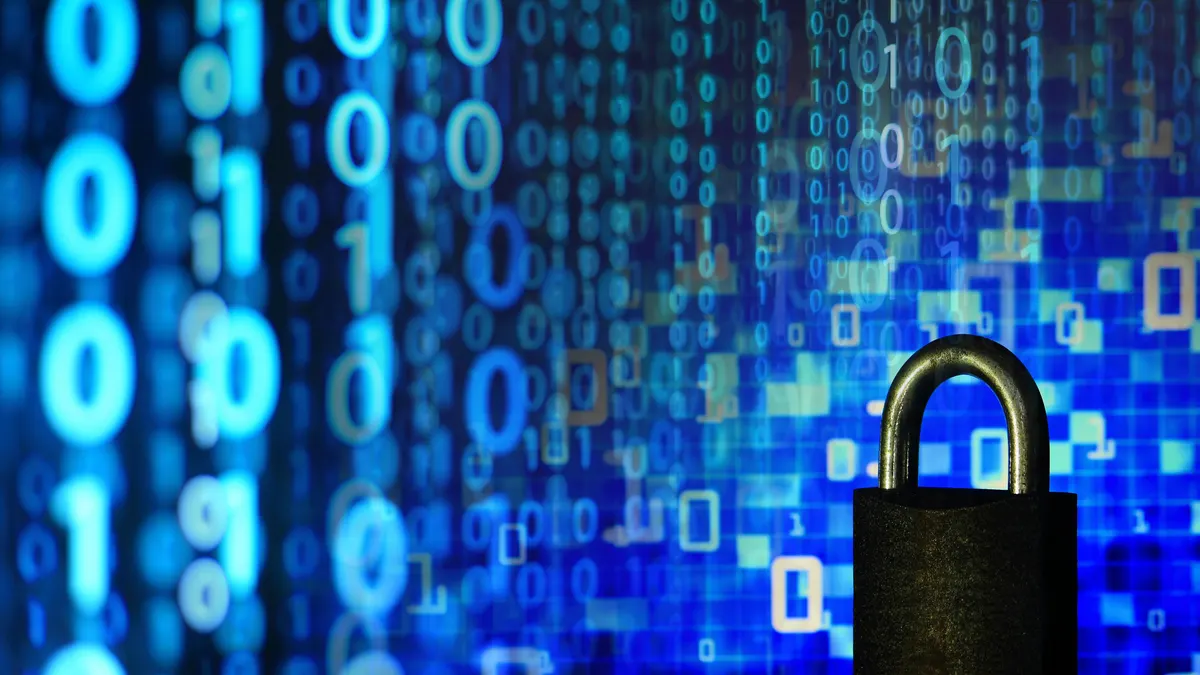 AI data privacy