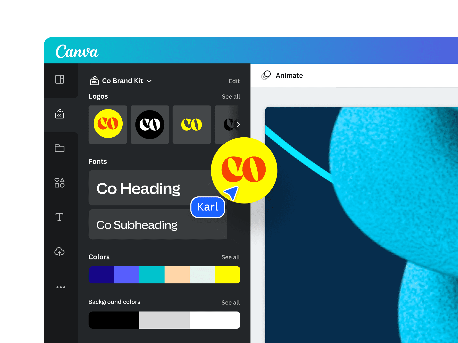 canva brand kit