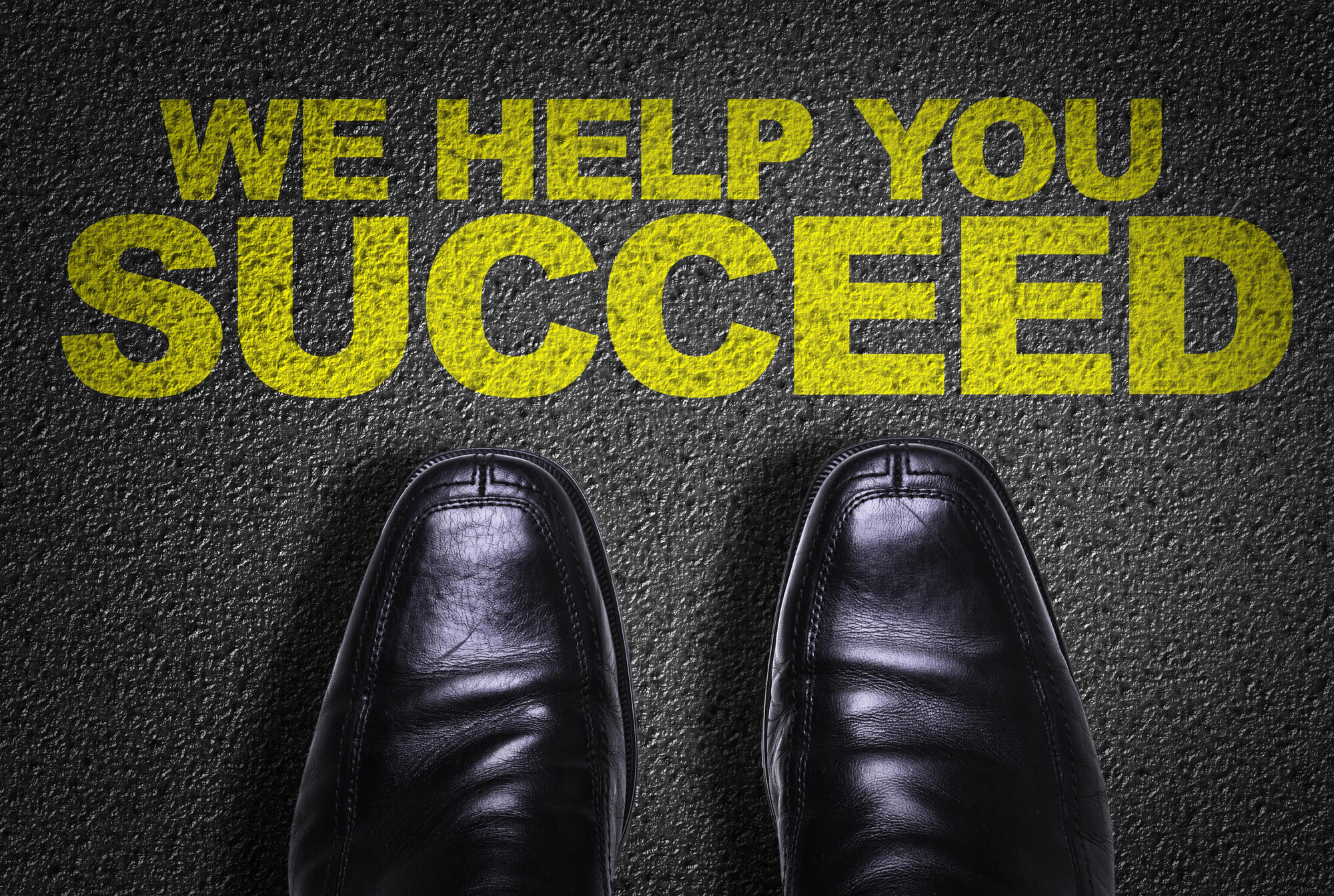 we help you succeed