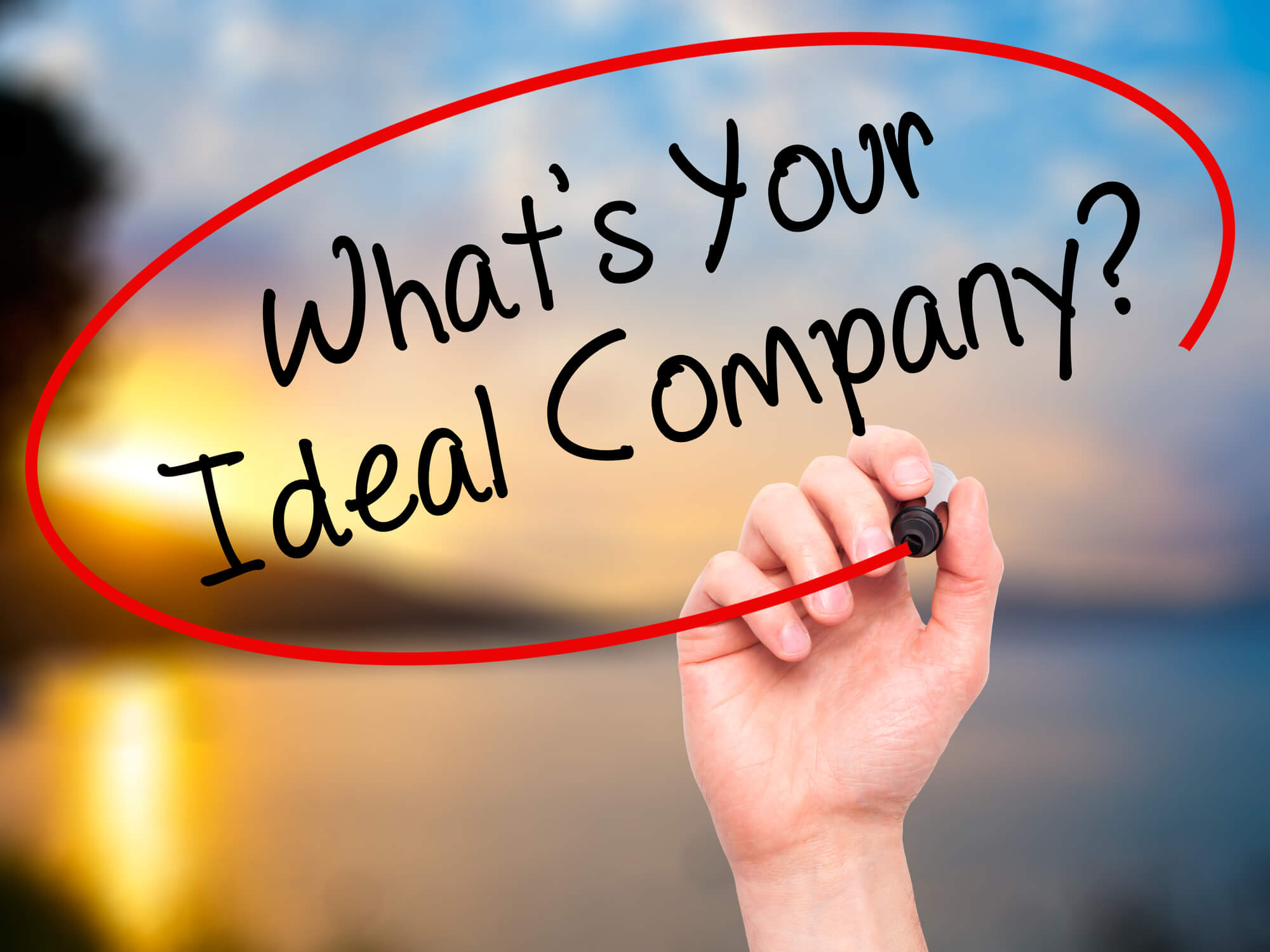 "What's your ideal company?"