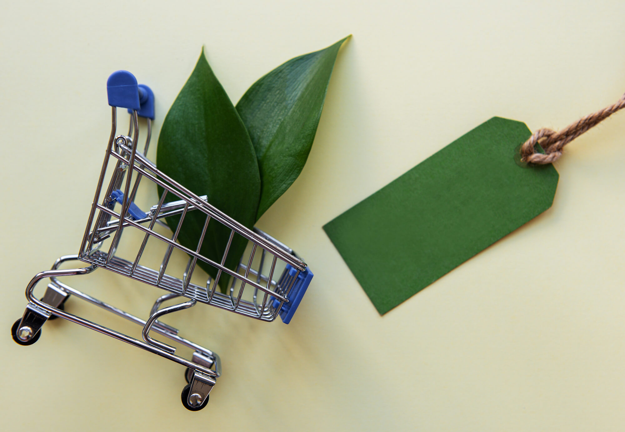 small shopping cart with two leaves and a green tag to represent eco-friendly business
