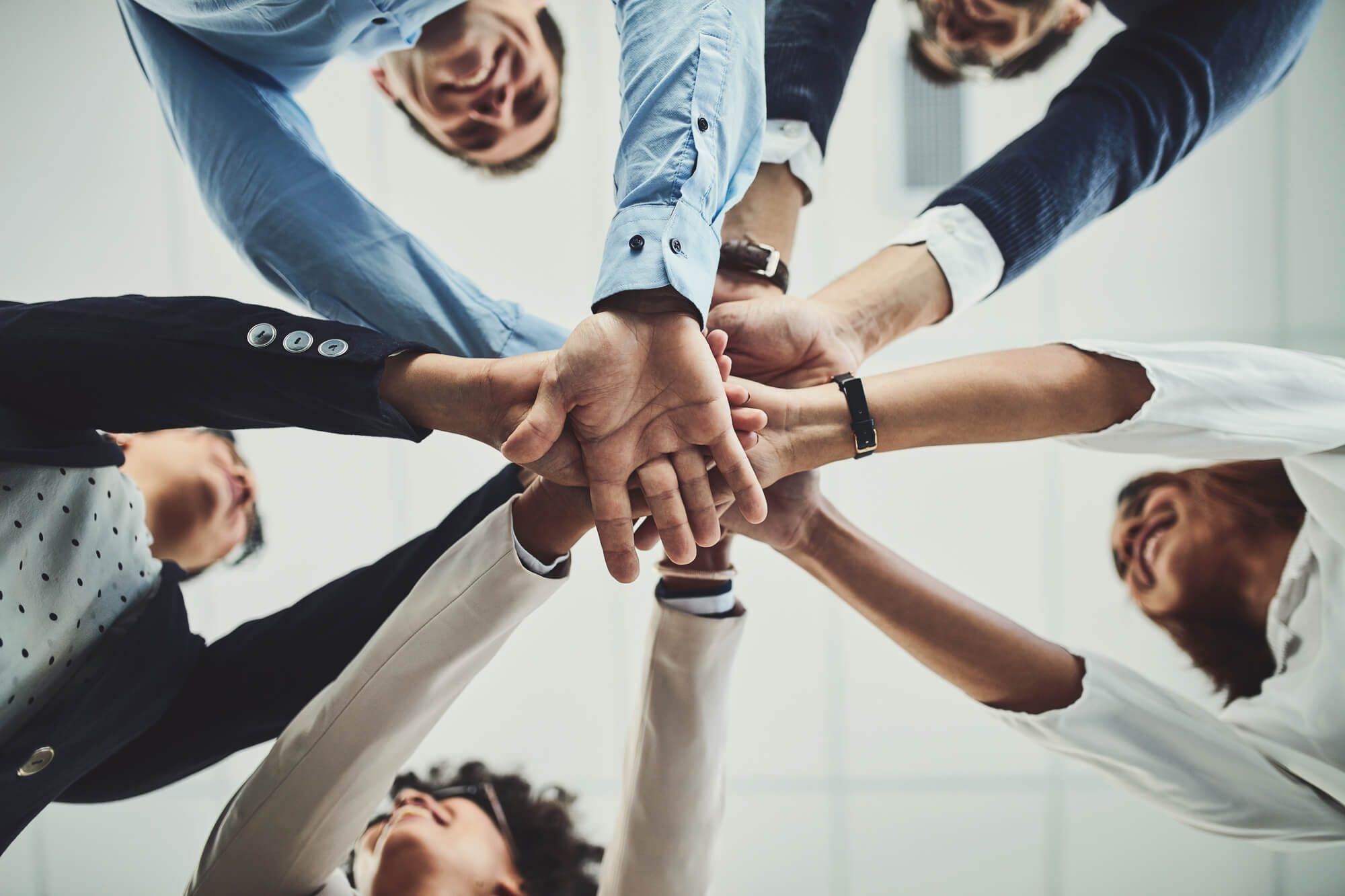 group of diverse business professionals celebrating success 