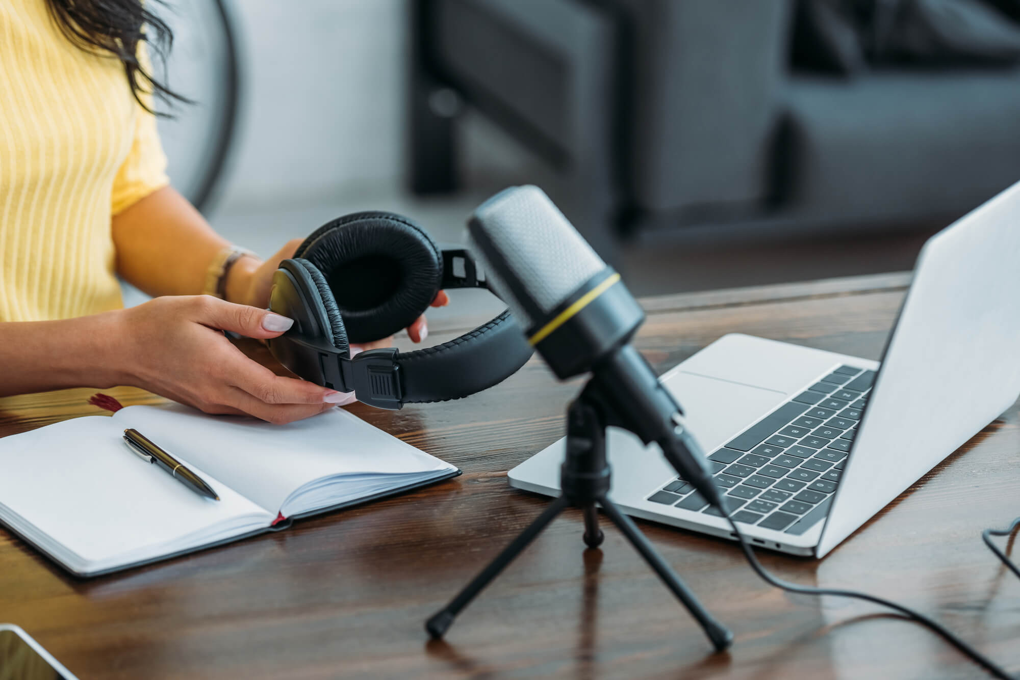 professional microphone