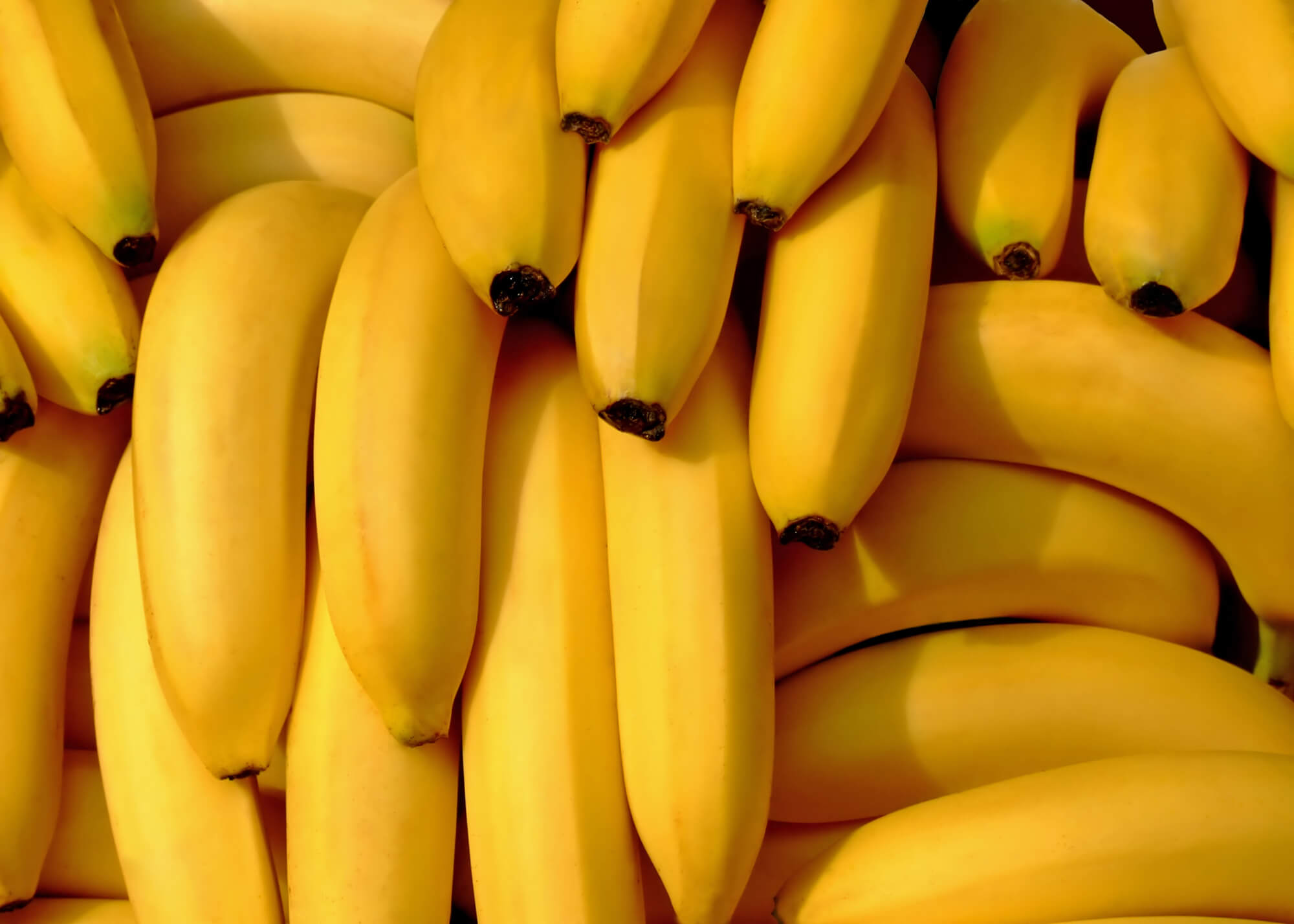 Picture of yellow ripe bananas.