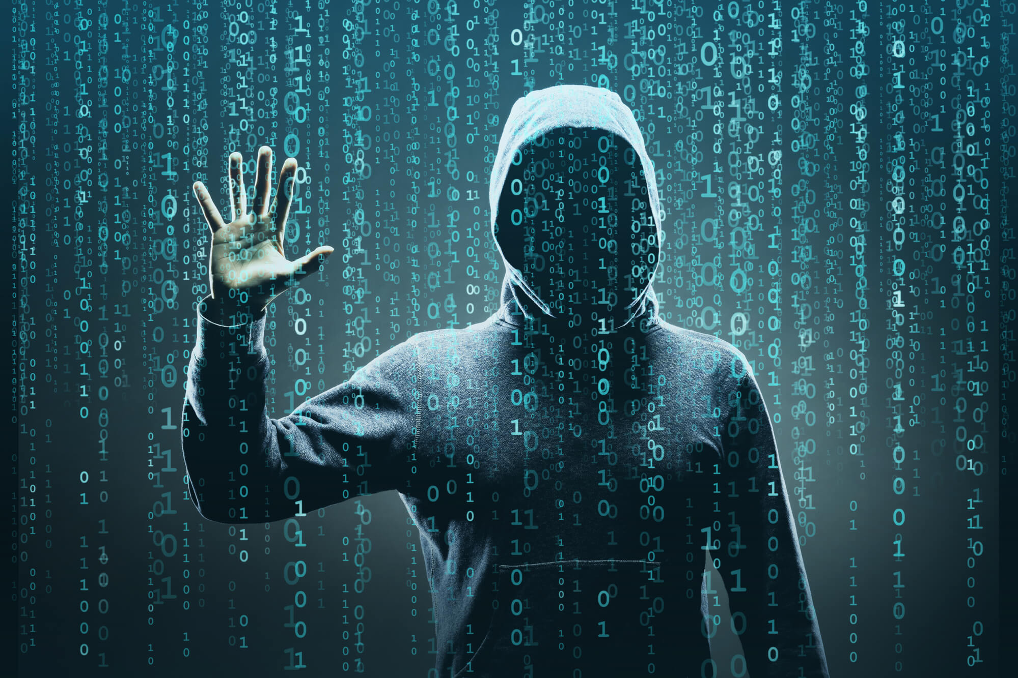 anonymous man in hoodie florida internet marketing company